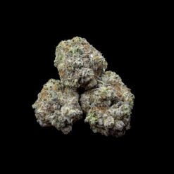 Monkey glue