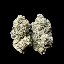 NYC Diesel