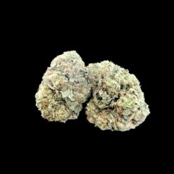 38 Special