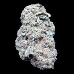 38 Special