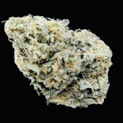 Candyland 🍭 2 IMG 2665