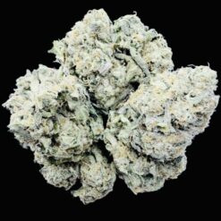 Candyland 🍭 3 IMG 2667