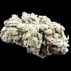 JAMAICAN