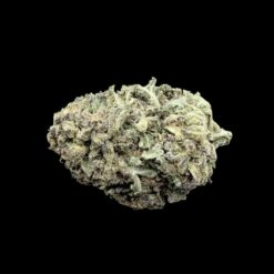 Orange creamsicle
