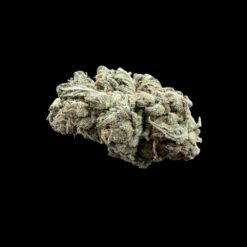 JAMAICAN
