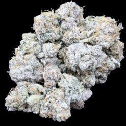 SUGAR WOOKIES 2 Photoroom 20260928 182523