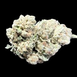 FRITTER MINTS 3 Photoroom 20260929 102213