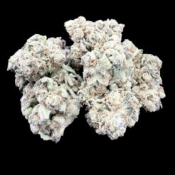 FRITTER MINTS