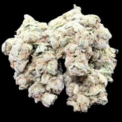 FRITTER MINTS 2 Photoroom 20260929 102322